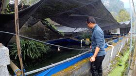 工厂化高密度水产养殖 圆桶刀刮布鱼池循环水系统施工详解