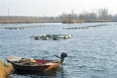 东明联社“贷”出水产养殖新天地