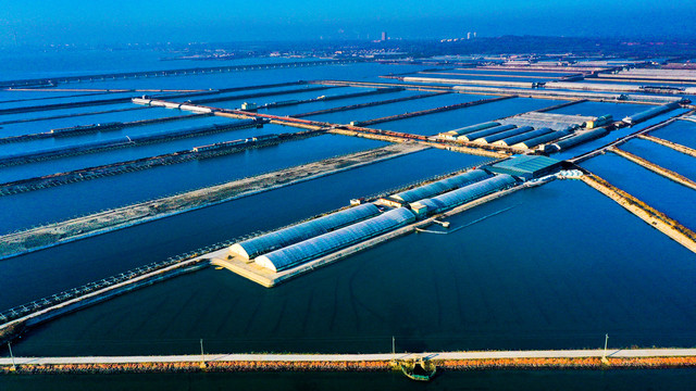 海产养殖与水产养殖 蓝色经济下的机遇与挑战