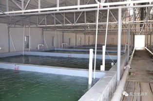 东方龙商务高端水产养殖全国布局项目政府对接会即将召开，共绘产业发展新蓝图