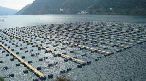 智慧渔业水产养殖模式的有效措施与实施路径