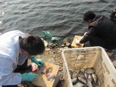 安徽滁州市水产站完成全市第三次水产品质量安全例行抽检，筑牢餐桌安全防线