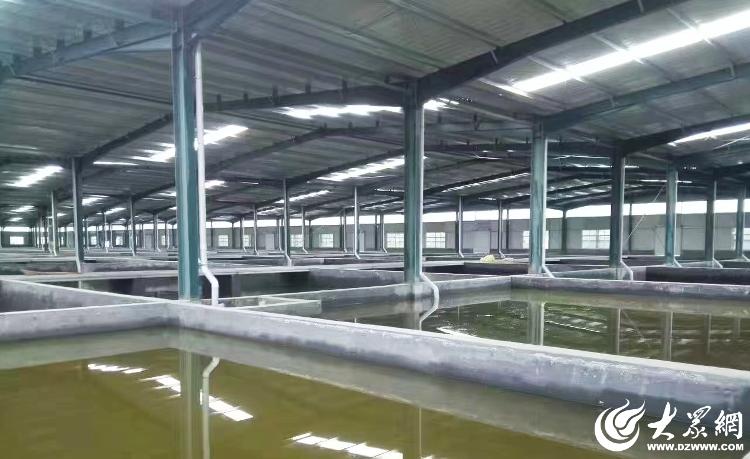 菏泽 水产绿色健康养殖“五大行动”助推渔业养殖转型升级