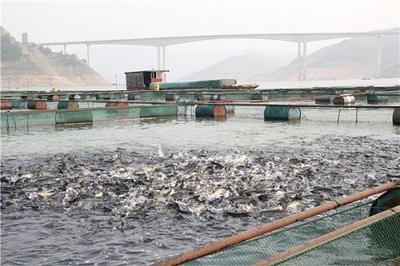 水产养殖相关法律规定概述