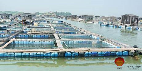 贝类养殖总体介绍
