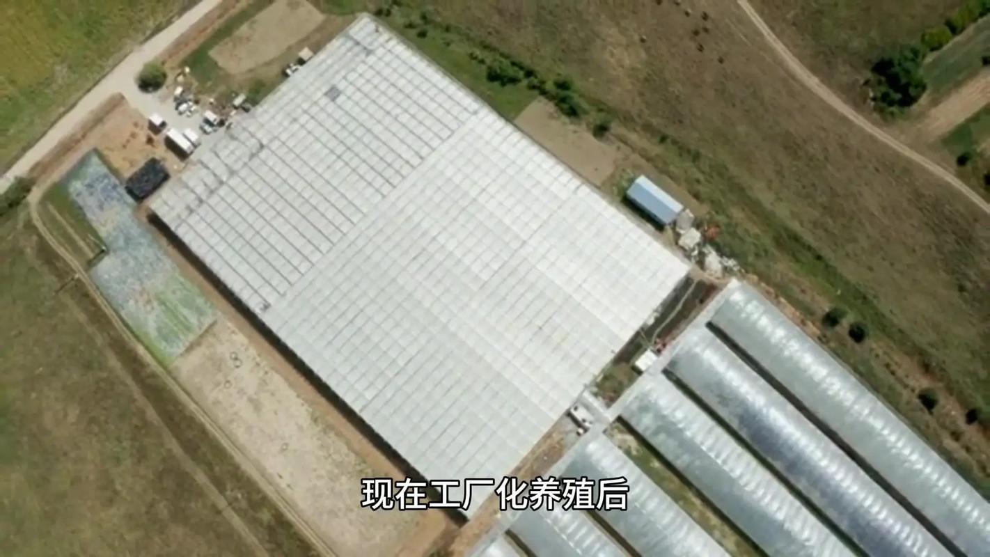 温州首个黔羽智慧水产养殖基地建成投用，苍南开启水产养殖新篇章